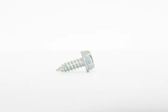 License Frame Screw