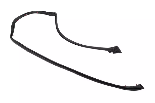Driver Side Rear Door Lower Auxiliary Weatherstrip