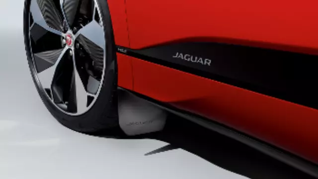 Splash Guards - Front