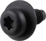 Fuel Door Screw
