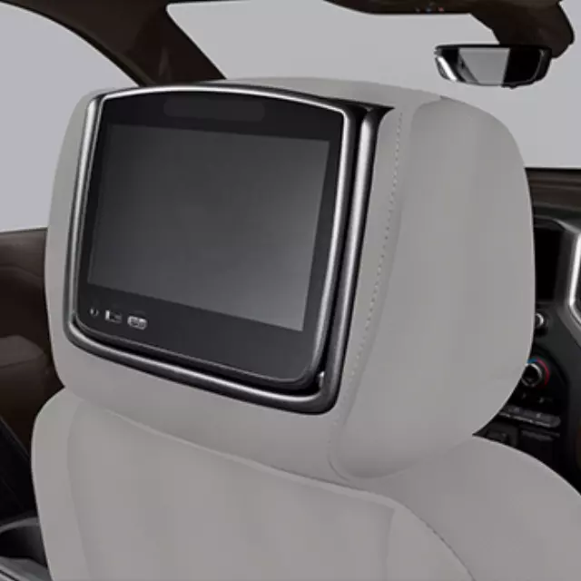 Headrest and Video Screen Assembly