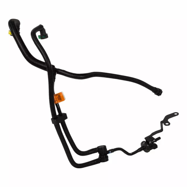 DG9Z-9D289-P - Evaporative Emissions System Lines - 2013