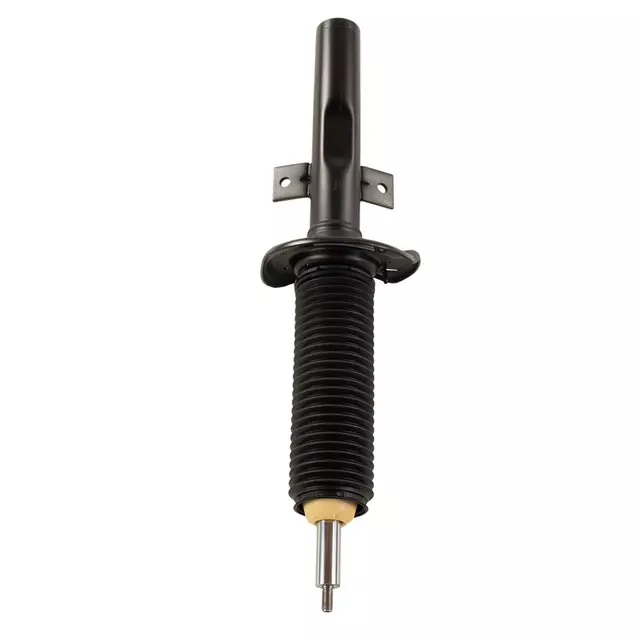 2015-2024 Ford - Suspension Strut