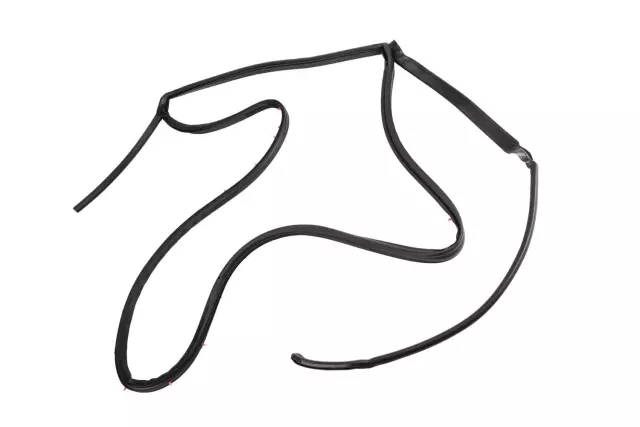 Driver Side Rear Door Weatherstrip