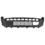 Bumper Grille