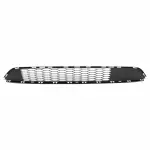 Bumper Grille
