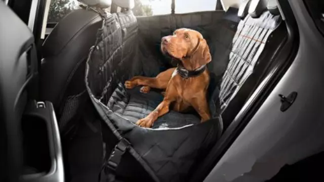 2022-2025 Audi - Rear Seat Protector