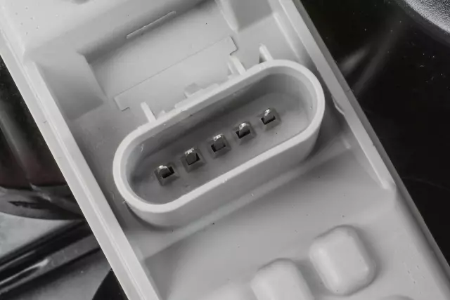 Driver Side Tail Lamp Assembly