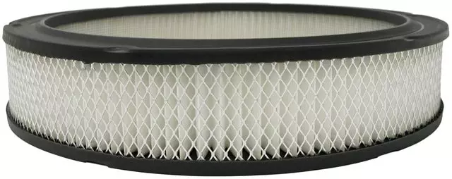 Air Filter - GM (6483645)