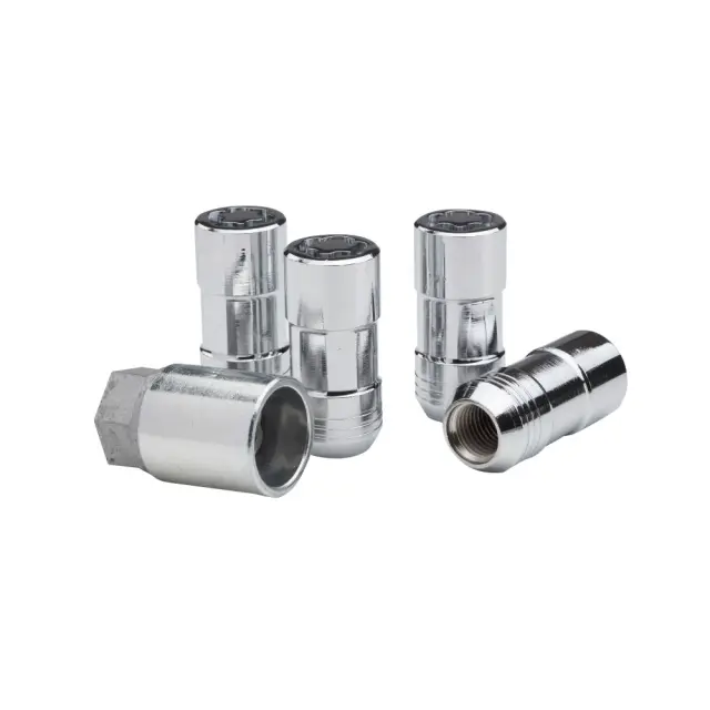 GM Wheel Locks 10pc 12498083
