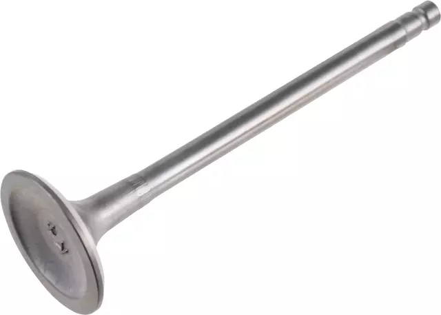 Exhaust Valve