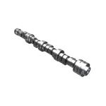 Engine Camshaft