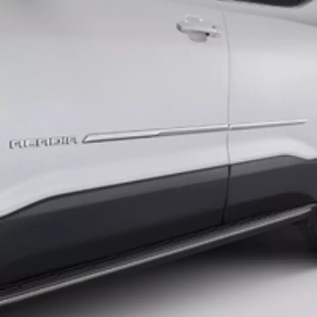 Door Moldings - Chrome