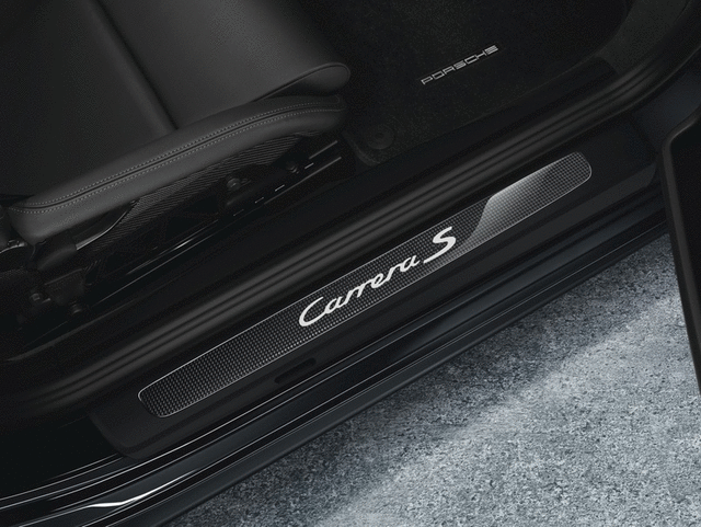 Door Entry Guards In Carbon