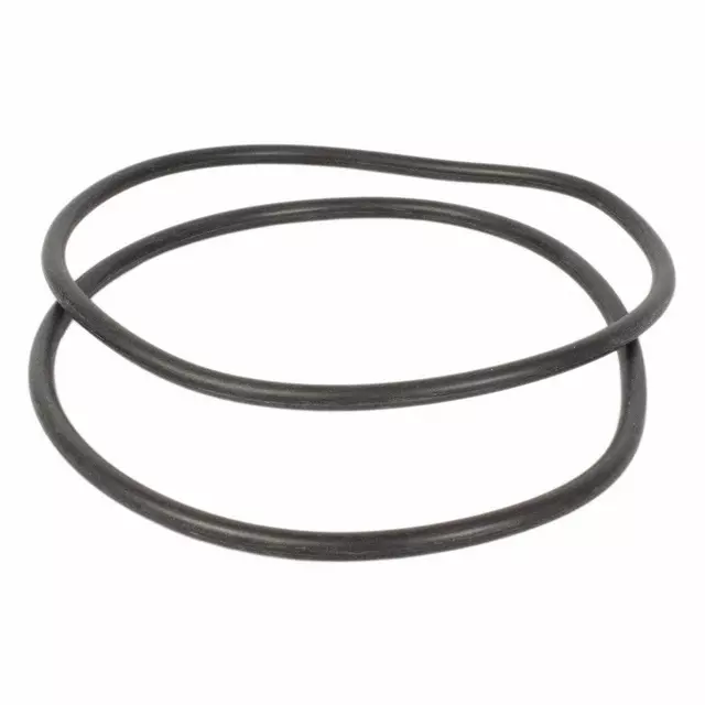 Fuel Pump Tank Seal
