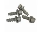 Tail Lamp Assembly Screw