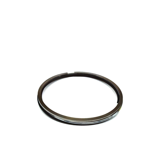 19972006 Audi Piston Rings 06B198151B OEM Parts Online