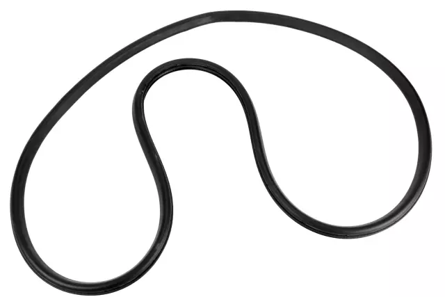 Passenger Side Rear Door Weatherstrip