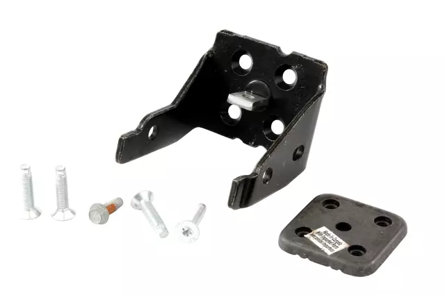Driver Side Front Door Side Lower Door Hinge Kit with Hinge, Backing Plate, and Bolts