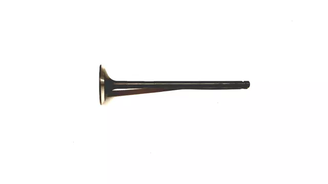 Exhaust Valve
