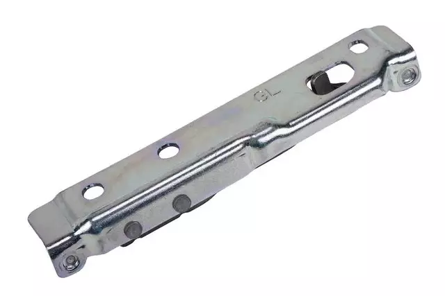 Driver Side Rear Door Check