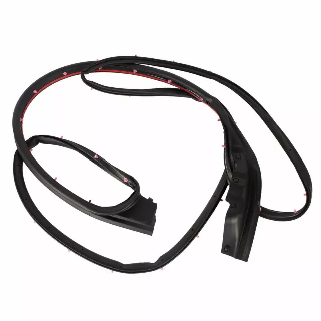 2015-2022 Ford Door Weather-Strip FL3Z-1520531-A | OEM Parts Online