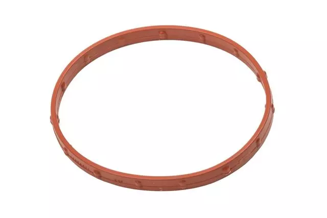 Fuel Injection Throttle Body Seal
