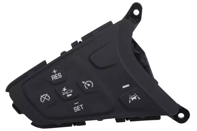 Black Cruise Control Switch