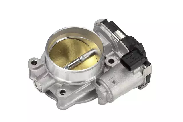 Fuel Injection Throttle Body with Throttle Actuator