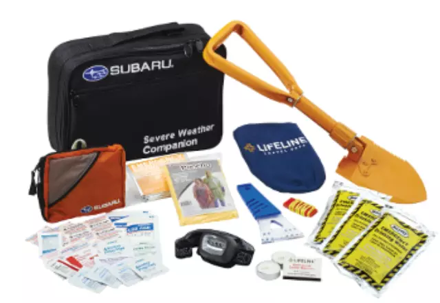 Severe Weather Companion (6 Per Case)