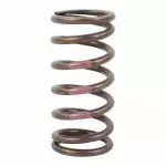 Valve Springs