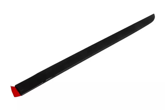 Black Rear Driver Side Door Molding