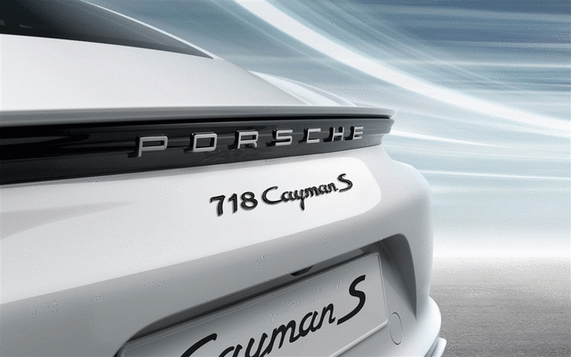 Painted Model Designation