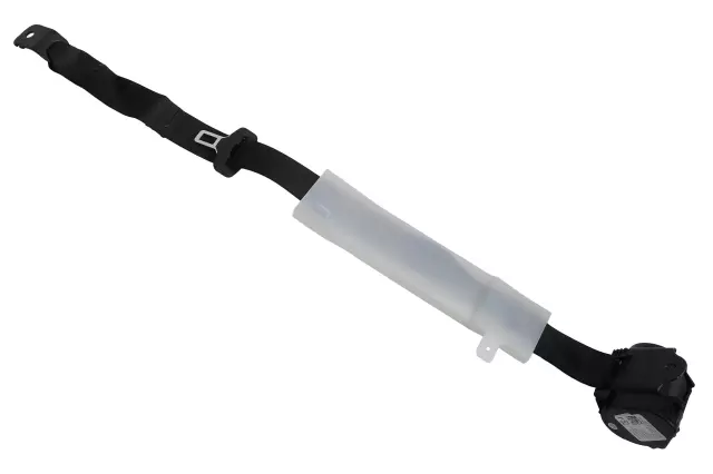 Center Belt Assembly