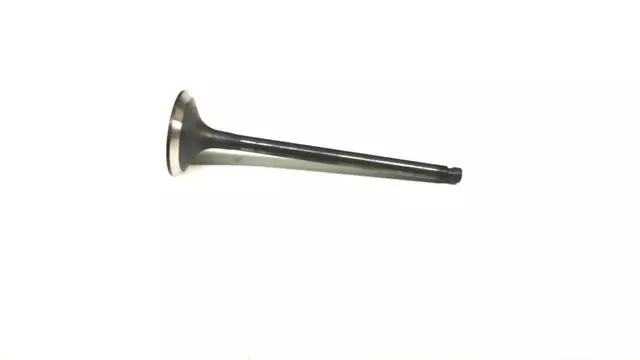 Exhaust Valve
