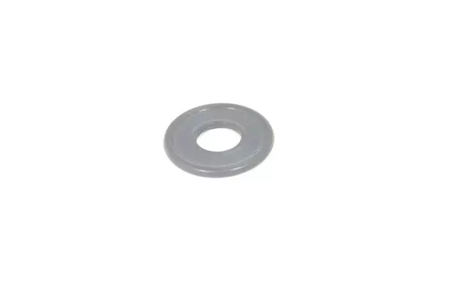 Oil Pan Drain Plug Seal
