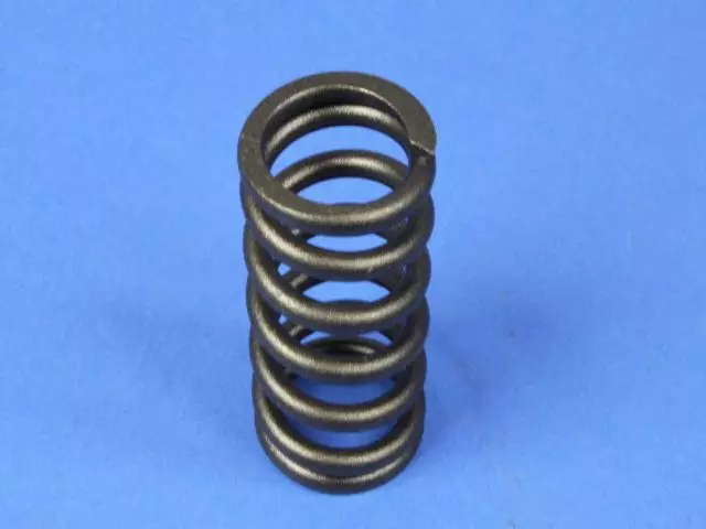 Valve Springs