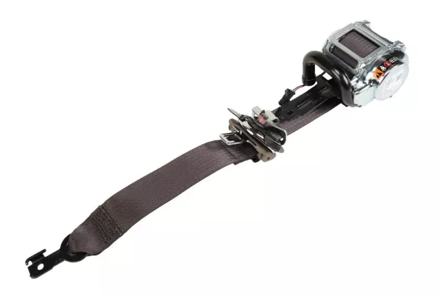 Cocoa Driver Side Seat Belt