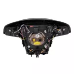 Driver Inflator Module