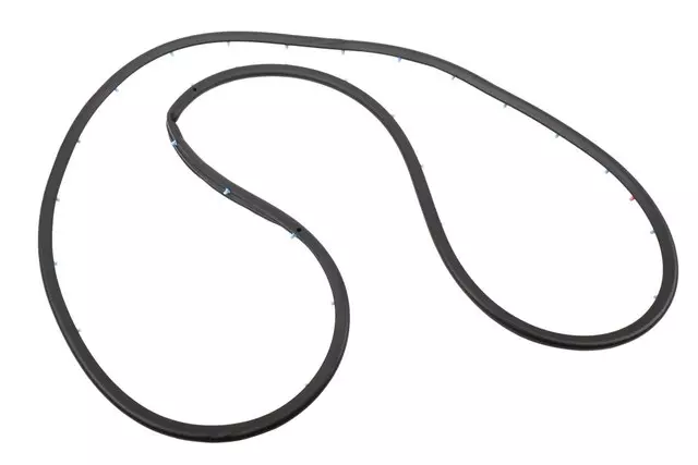 Driver Side Rear Door Weatherstrip