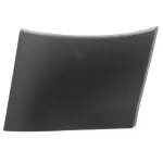 Side Molding - Driver's Side (LH)