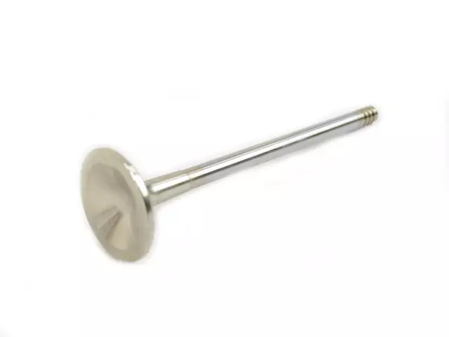Exhaust Valve