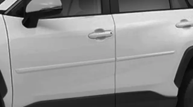 Moldings, Body Side, Blizzard Pearl