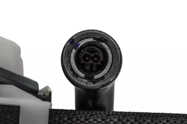 Black Driver Seat Belt