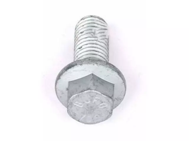 Caliper Mount Bolt