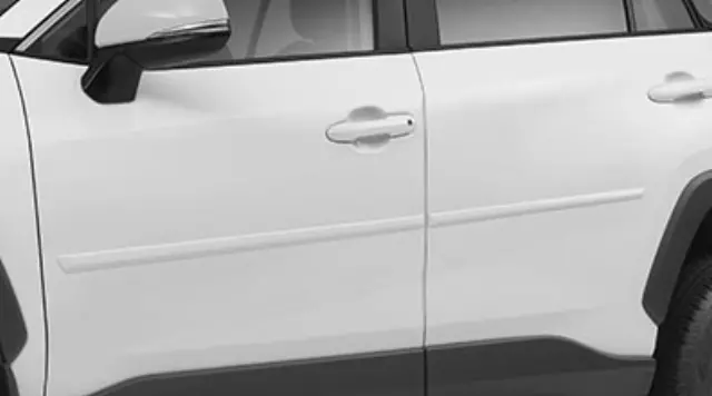 OEM 2019-2024 Toyota RAV4 Moldings, Body Side, Lunar Rock Part