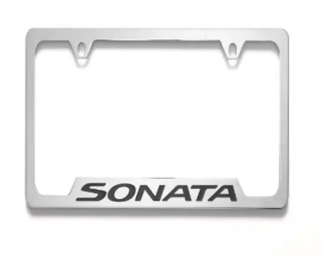 License Plate Frame