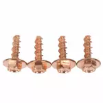 2005-2020 Ford - Support Screw