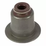 Valve Seals