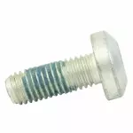 2010-2019 Ford - Buckle Bolt